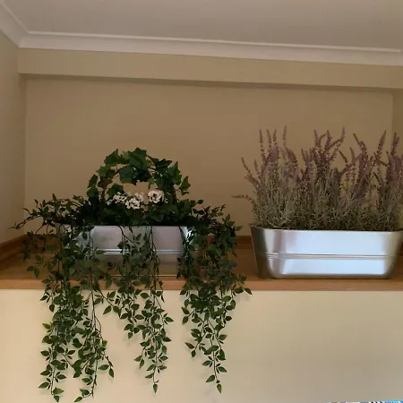 Duplex With Terrace In Downtown קסקאיס