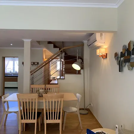 Duplex With Terrace In Downtown *